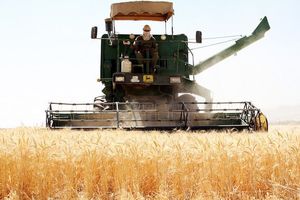 همزمان با برداشت گندم و کلزا هزار دستگاه کمباین  به خوزستان وارد شدند/ ممنوعیت پرداخت سوخت به کمباین های فاقد برگ معاینه فنی