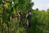  رفع تصرف بیش از ۱۵۰۰۰ متر از اراضی تالابی در انزلی   