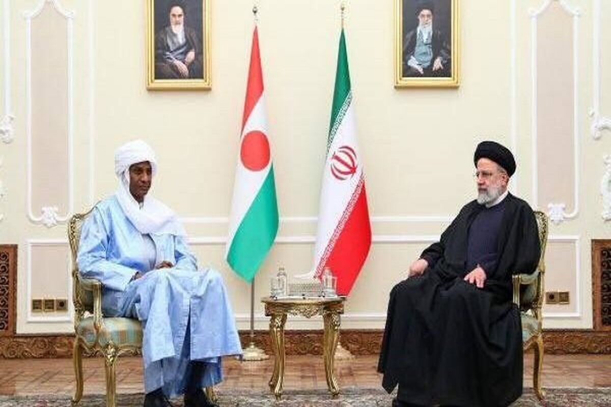 رئیس جمهور در دیدار نخست‌وزیر نیجر