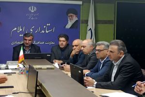 بررسی مشکلات ۸ طرح تولیدی و اقتصادی ایلام در کارگروه تسهیل و رفع موانع تولید