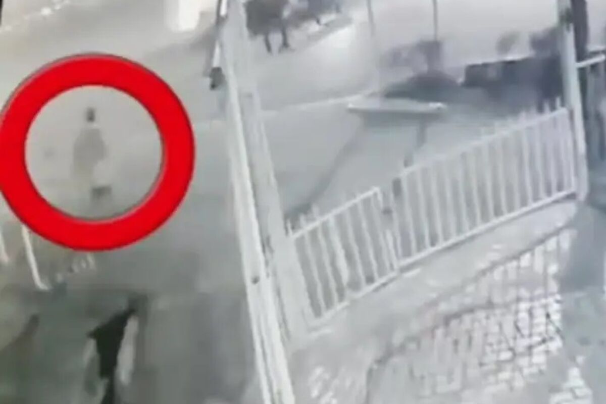 قتل+دانشجو