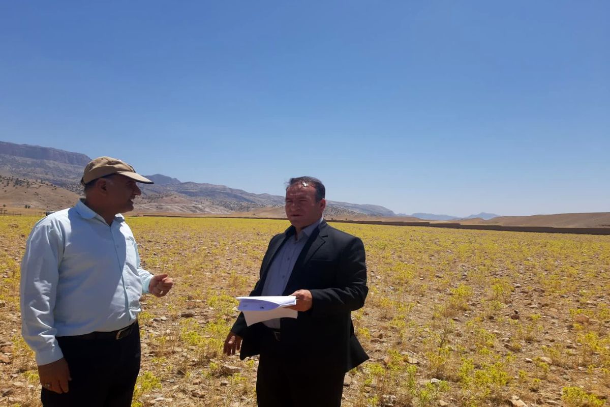 جهاد کشاورزی