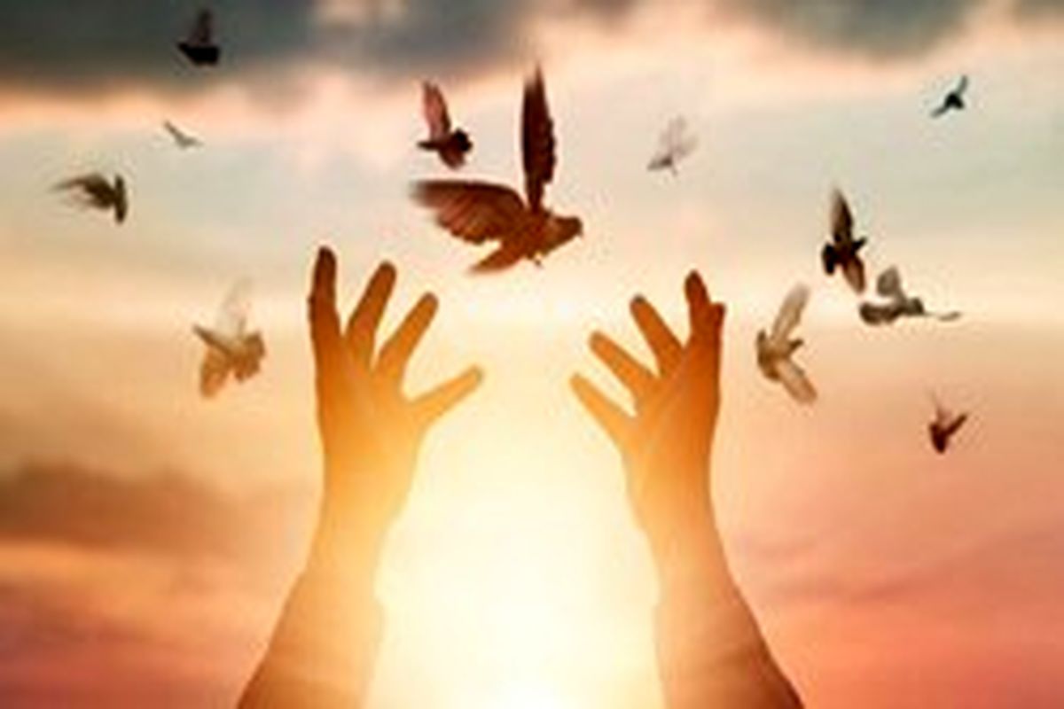 رهایی از قصاص