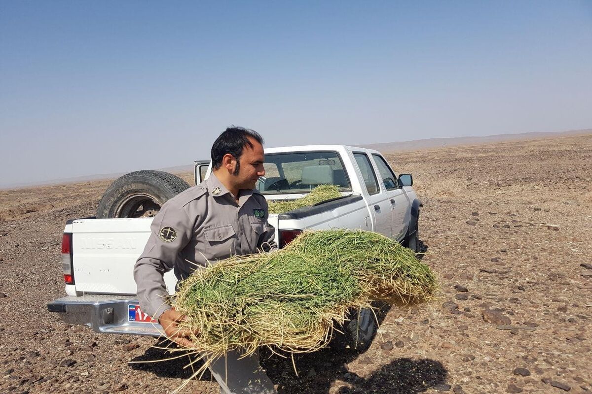 نذرطبیعت