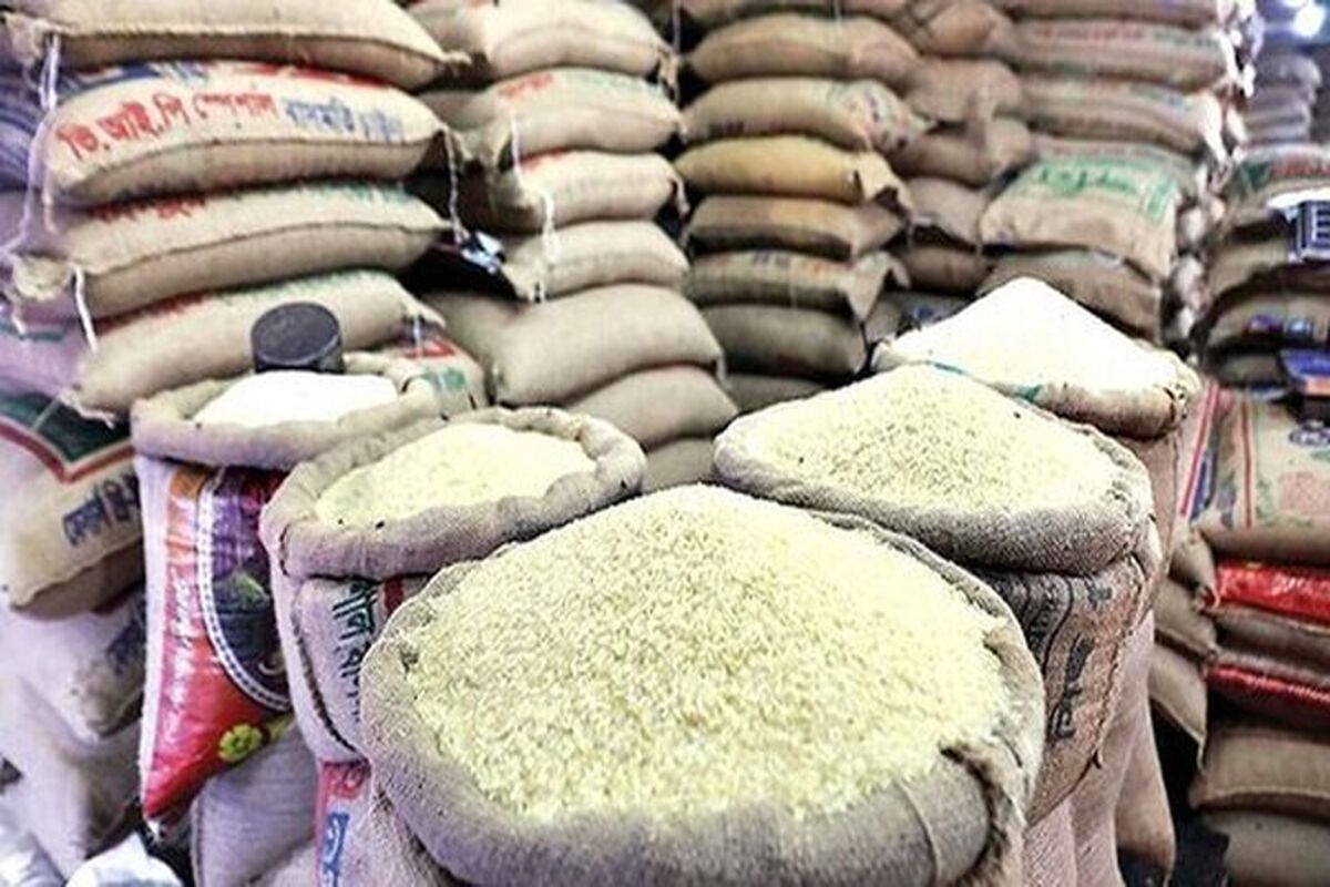 برنج واردات