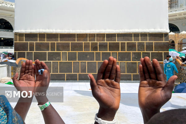 آخرین وضعیت اعزام و فوتی‌های حج عمره اعلام شد