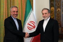 سرکنسول جدید ایران در هنگ‌کنگ با عراقچی دیدار کرد