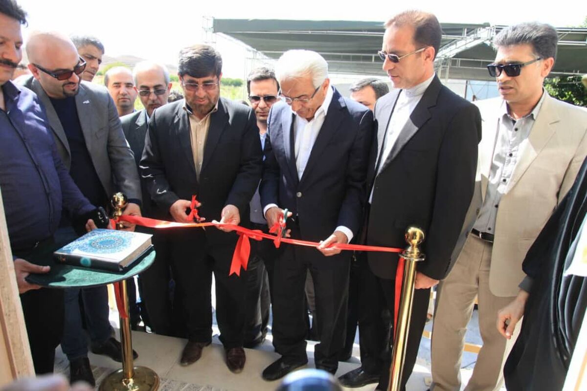 غفار برارجانیان رئیس هیات مدیره کوبل
