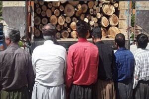 جریمه ۷ میلیارد تومانی و زندان برای قاتل درختان جنگلی در نمین