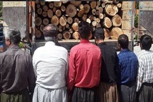 جریمه ۷ میلیارد تومانی و زندان برای قاتل درختان جنگلی در نمین
