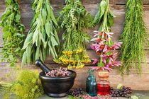 شناسایی 800 گونه گیاهان دارویی در مازندران