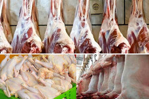 ضبط و معدوم شدن 400 راس دام و 10هزار آلایش خوراکی در خوزستان