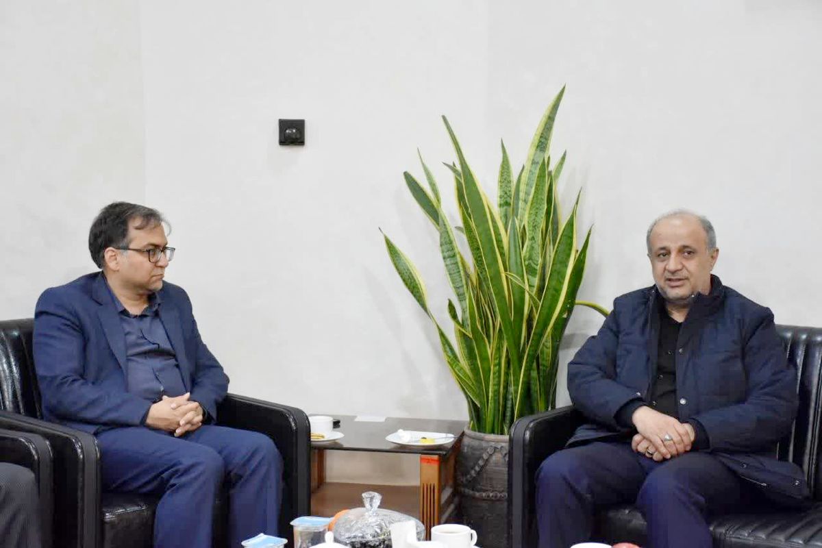 سازمان صمت فارس