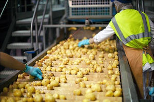 اشتغال ۱۴ هزارنفر در صنایع تبدیلی خوزستان