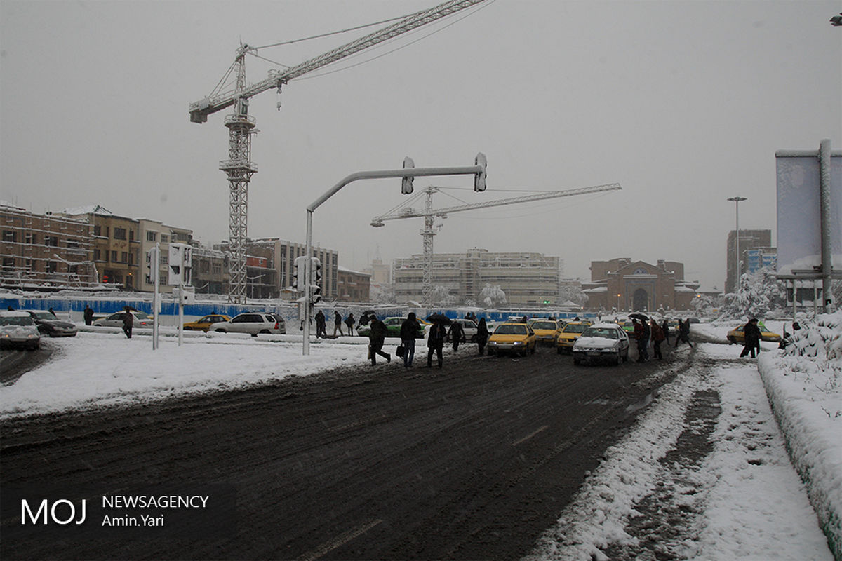 بارش برف تهران را سپیدپوش کرد