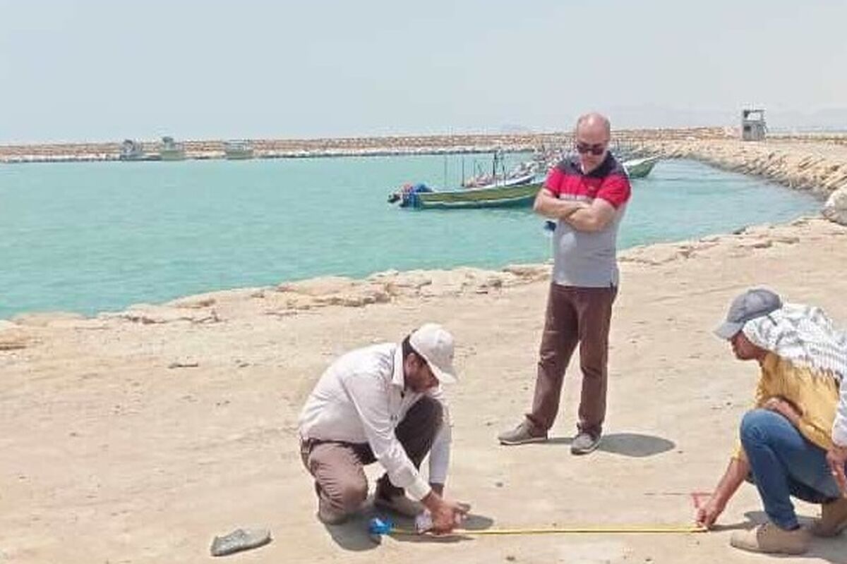 بندر جاسک