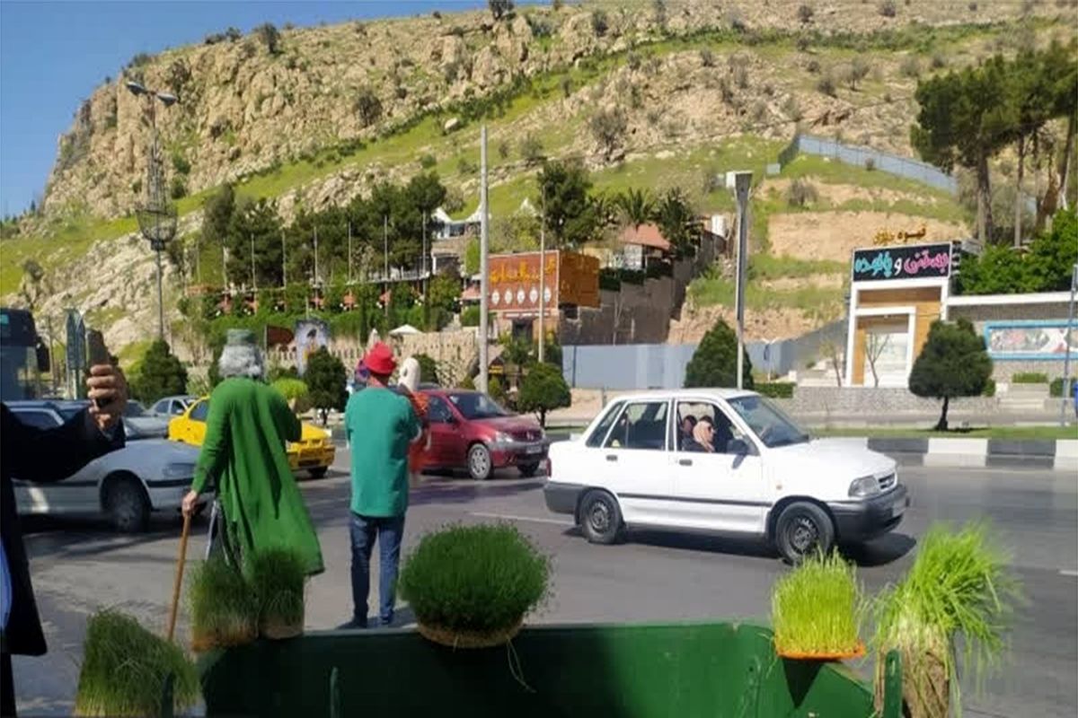 شهرداری شیراز 