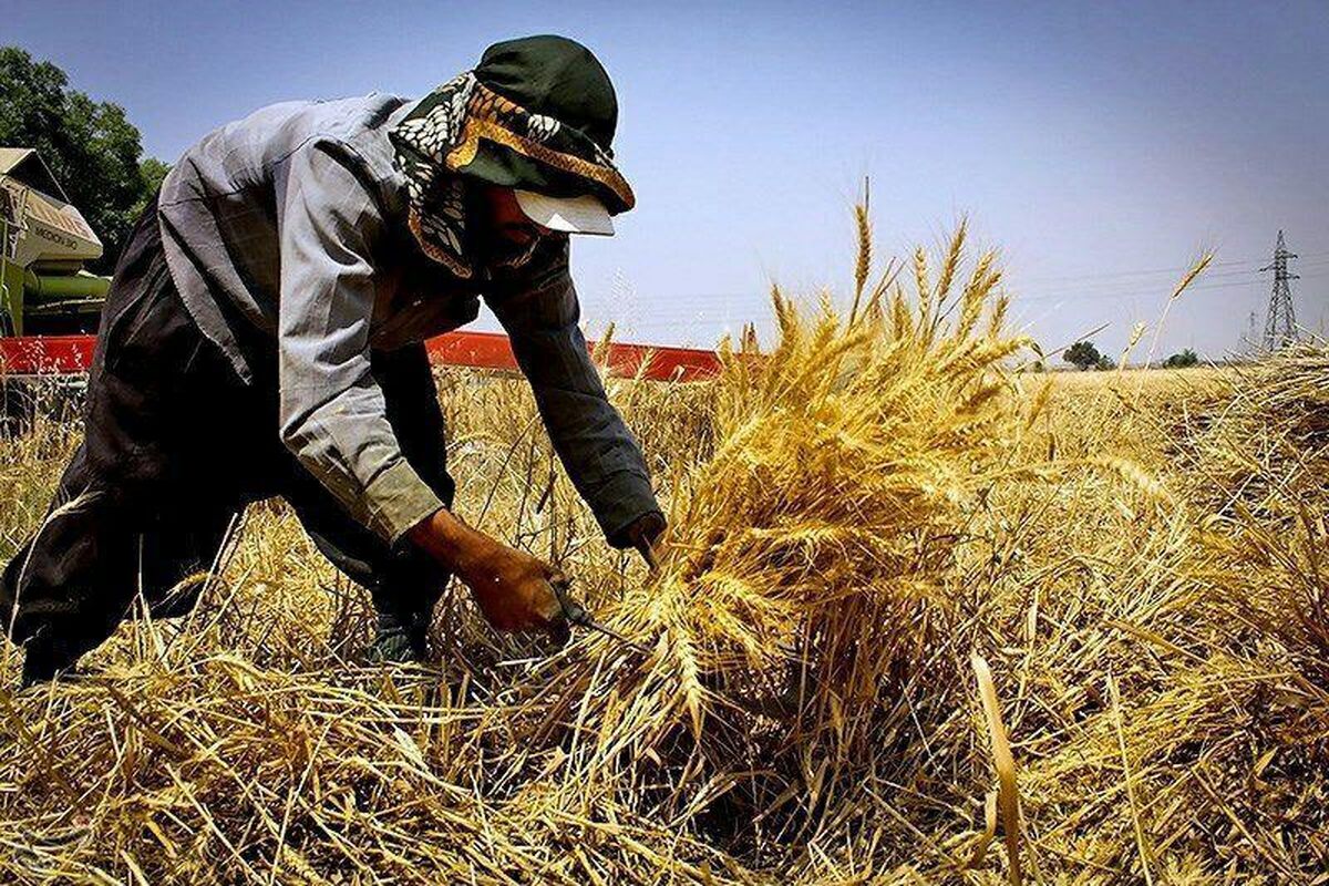 اشتغال زایی