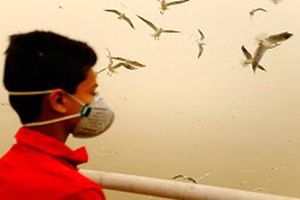 قرارگیری وضعیت هوای بندرعباس و جاسک در شرایط ناسالم