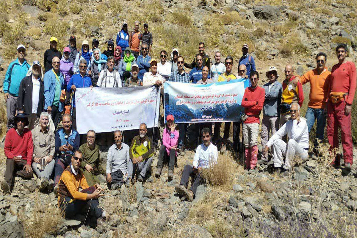 تیم مخابرات