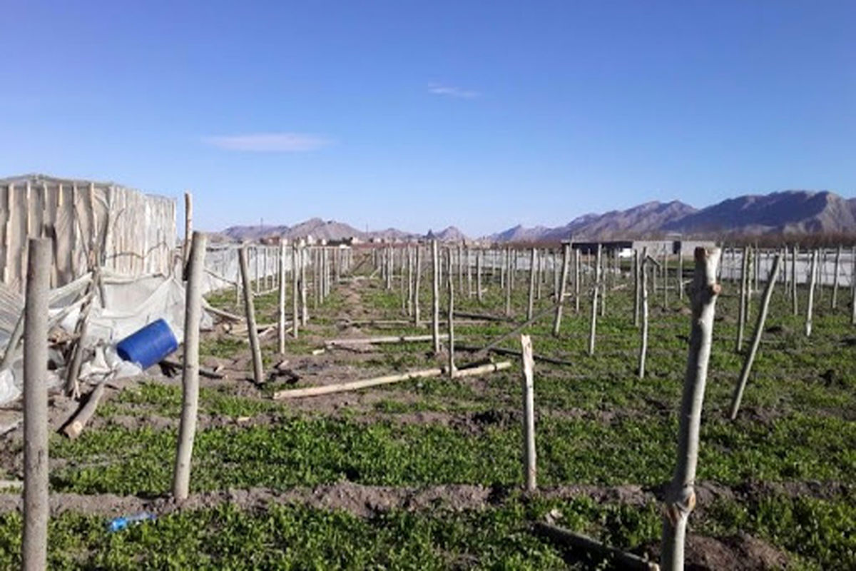 تخریب گلخانه ..