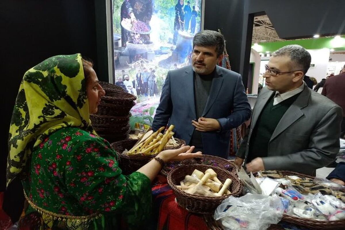 معاون هماهنگی امور عمرانی استانداری کردستان