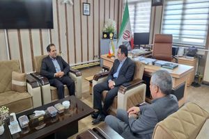 طرح گلخانه ۵۰۰ هکتاری در شهرستان اردبیل اجرایی می شود