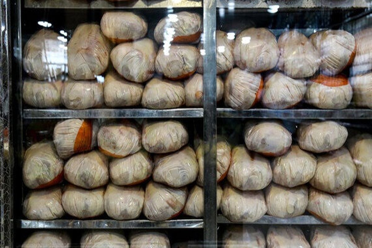 مرغ منجمد در هرمزگان