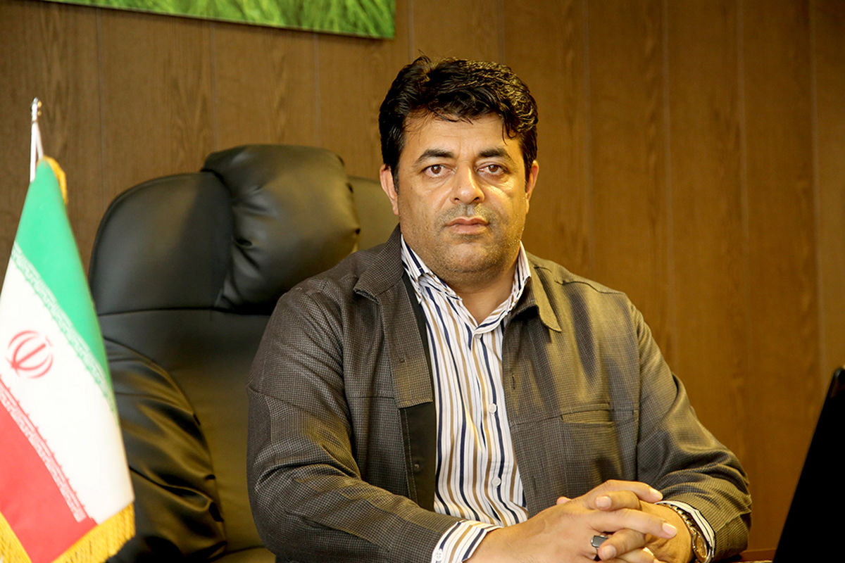 فرماندار جاسک