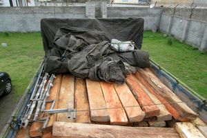 کشف 8تن چوب قاچاق در املش