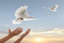 2 متهم به قصاص قتل از قصاص رهایی یافتند