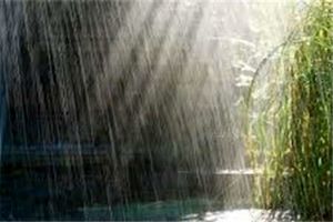 بارش باران در مناطق غربی استان اصفهان / بویین میاندشت پربارش ترین شهرستان 