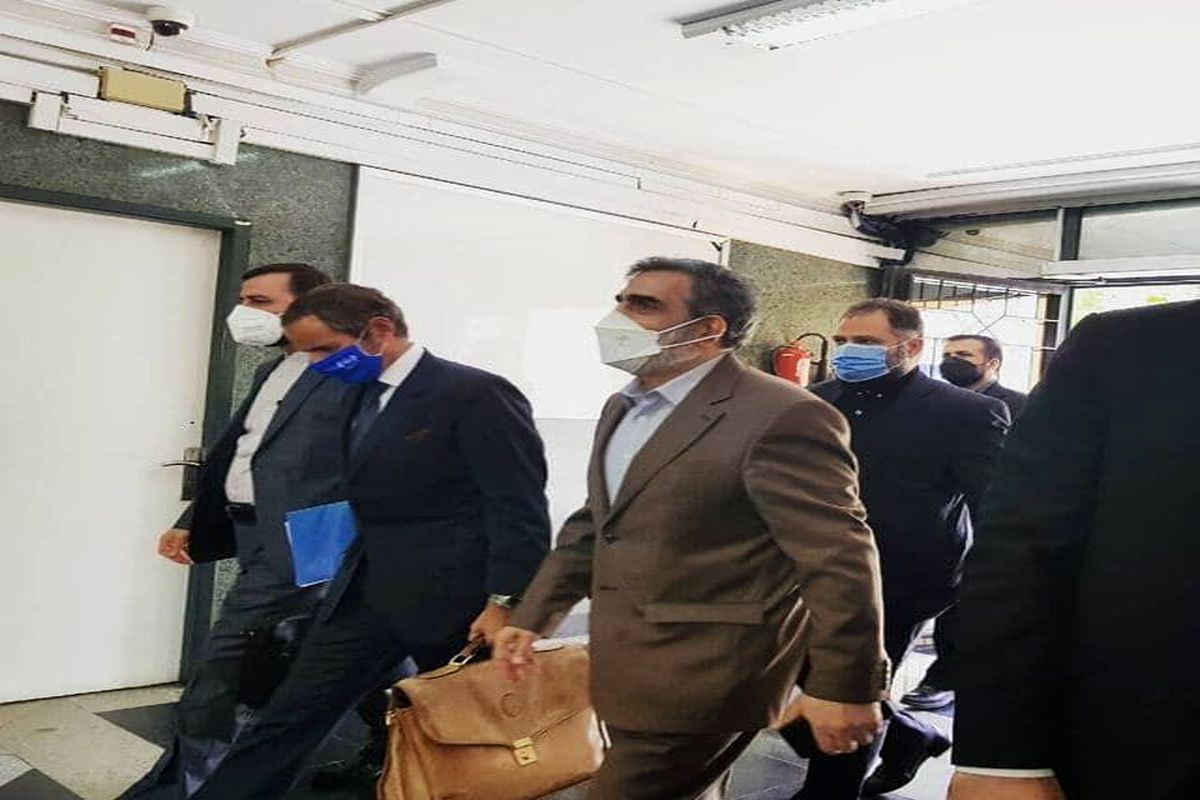 رافائل گروسی+محمد اسلامی