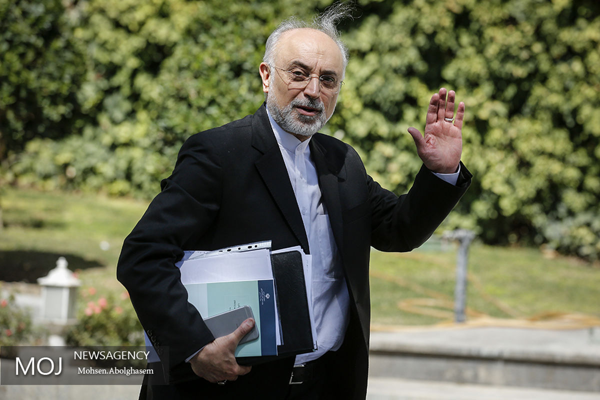 علی اکبر صالحی رییس سازمان انرژی اتمی