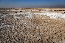 تالاب شور گلپایگان احیا شد