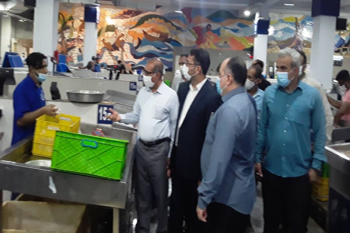 بازدید