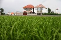 16 مورد پرونده جلوگیری از تغییر کاربری زمین های کشاورزی در بابل تشکیل شد