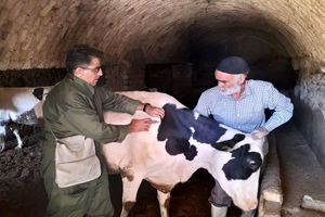 نخستین رویداد ملی «دام‌یار» با حضور گروه های جهادی دامپزشکی سراسر کشور برگزار شد