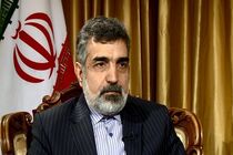 روابط اصولی با آژانس می ‌تواند فرصت اغراض آمریکا را بگیرد