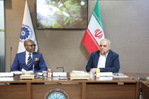 ظرفیت‌های بخش خصوصی می‌تواند مبادلات تجاری ایران و آفریقای جنوبی را افزایش دهد