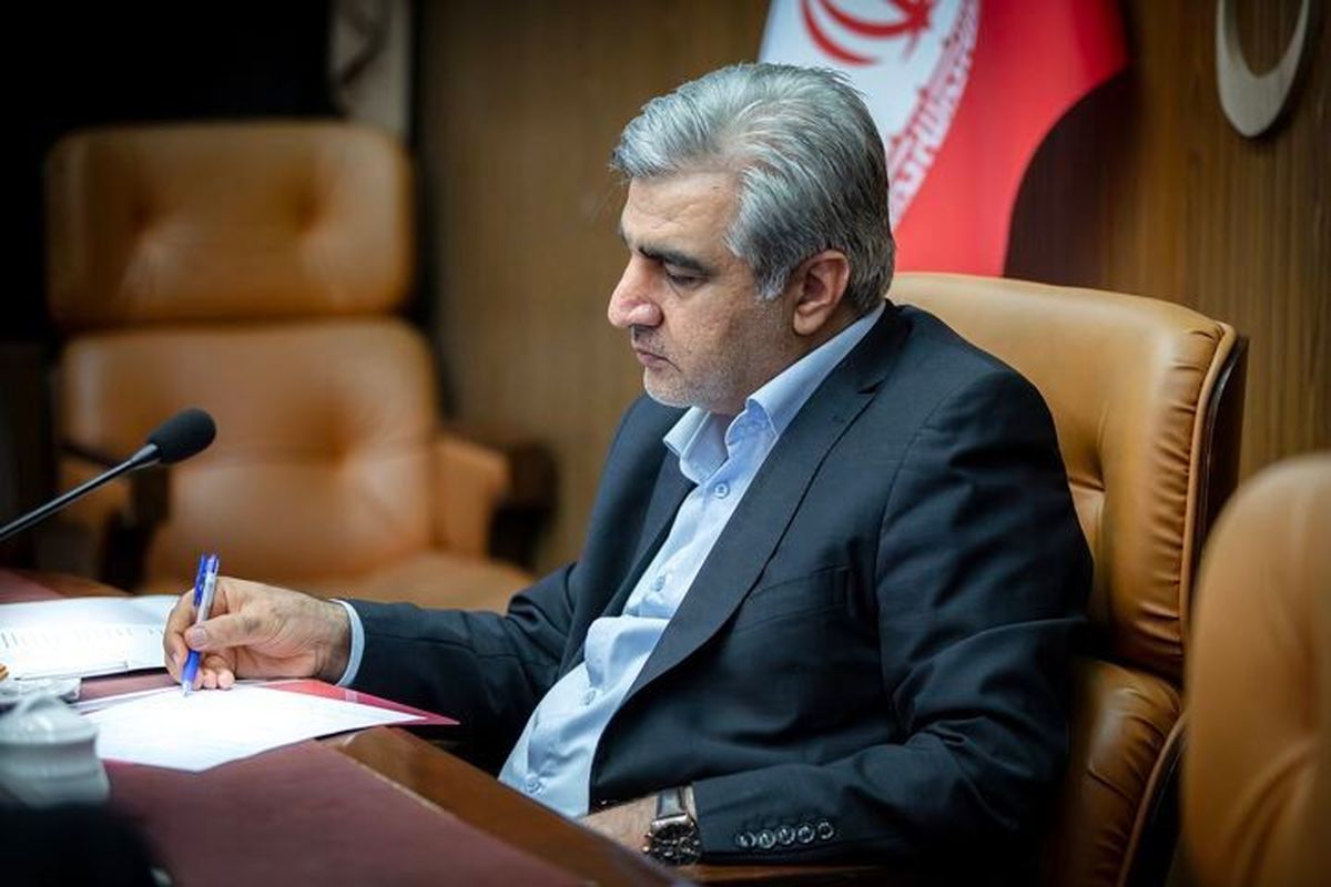 مدیرعامل سازمان تامین اجتماعی