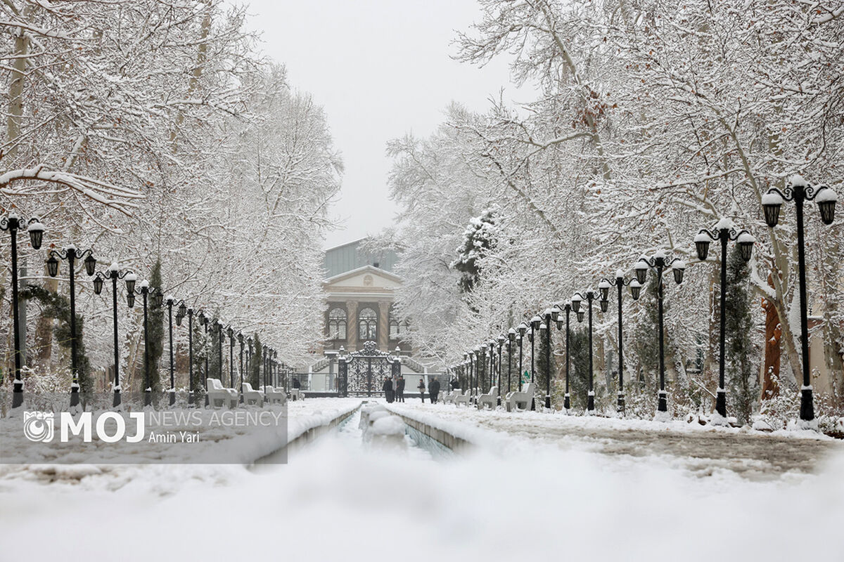 بارش برف در تهران - ۳۰ دی ۱۴۰۴
