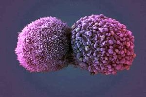 پایش سلول‌های سرطانی به کمک نانو ردیاب‌ها در دانشگاه اصفهان