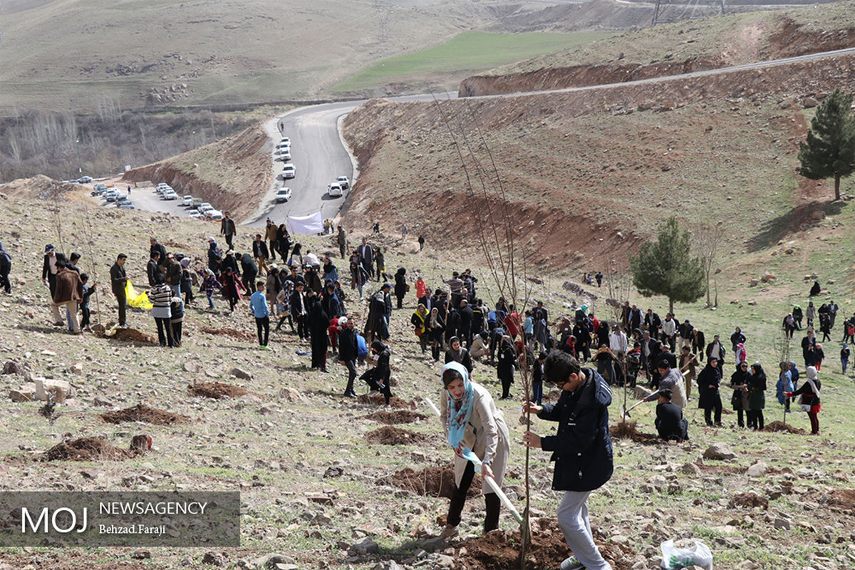 همایش پیاده روی خانوادگی و کاشت درخت در کرمانشاه