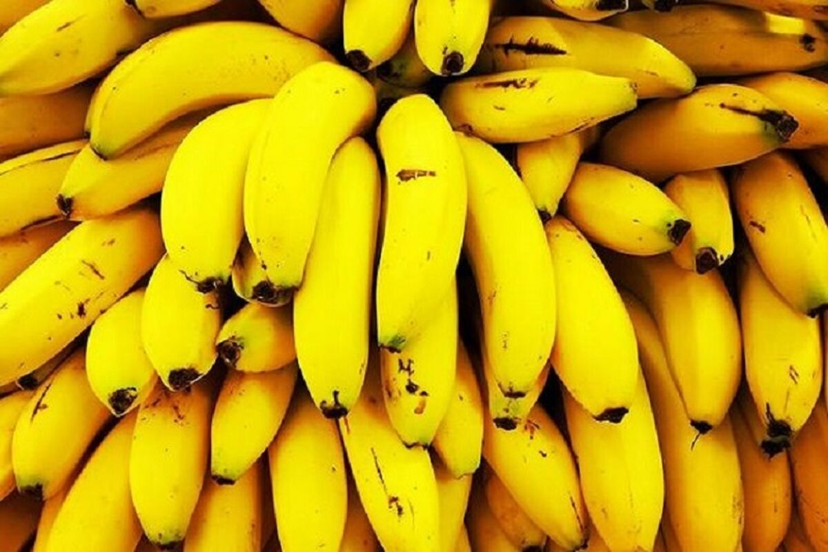 قیمت موز