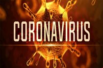 113 مورد مثبت جدید کرونا در هرمزگان