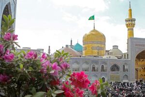 تبلور شکوه وحدت شیعه و سنی در اقامه نماز جماعت حرم رضوی