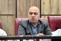 حرکت تعاونی‌های ایلام به‌سوی توسعه، تمرکز بر احیای واحدهای راکد