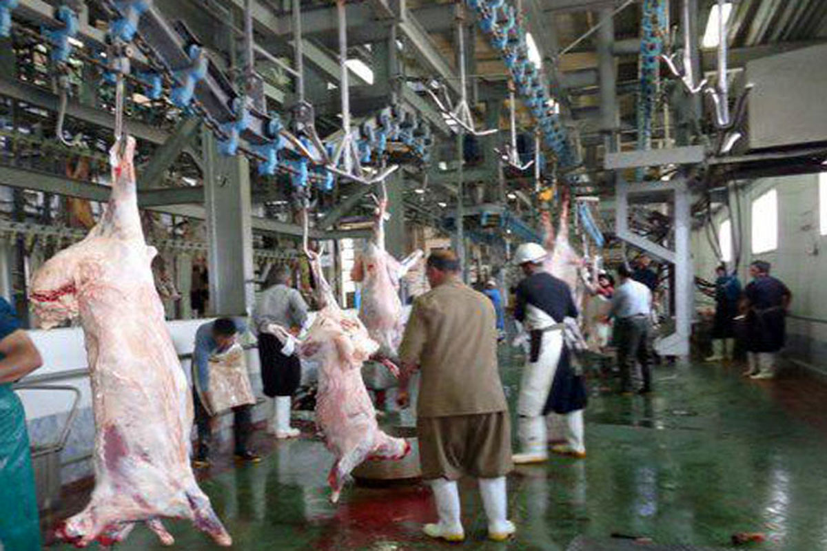 کشتارگاه صنعتی قم