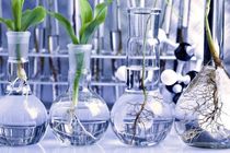 نامه ۳۰۶ عضو هیأت علمی به ابتکار درباره محصولات تراریخته